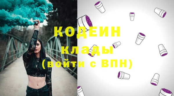 хмурый Пестово