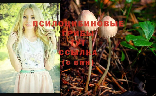 хмурый Пестово