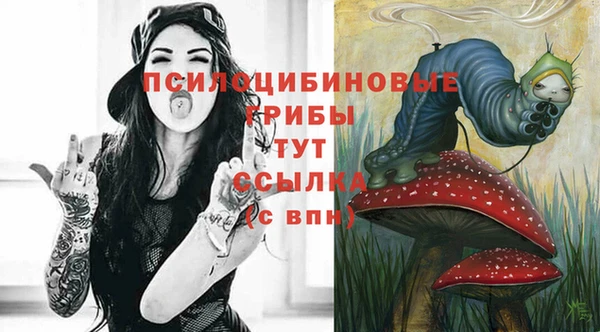 хмурый Пестово
