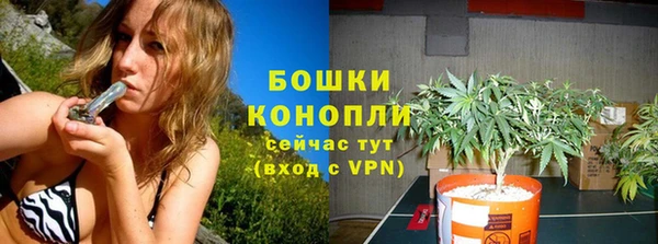 хмурый Пестово