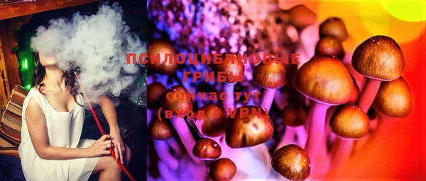 MDMA Вяземский