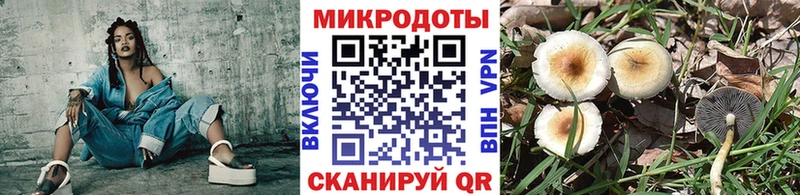 Псилоцибиновые грибы мухоморы  Санкт-Петербург 