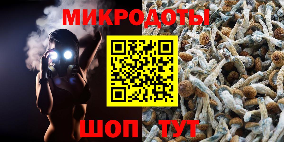 Галлюциногенные грибы Cubensis Санкт-Петербург