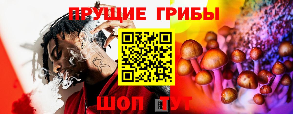 Псилоцибиновые грибы Psilocybine cubensis  Вход с VPN  Санкт-Петербург 