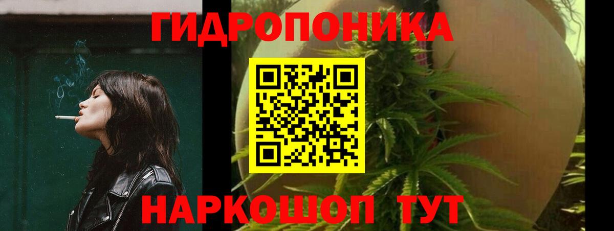 Шишки марихуана планчик Санкт-Петербург